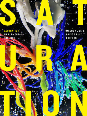 cover image of Saturation